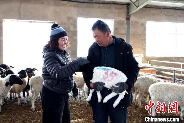 北疆村支書的鄉(xiāng)村振興答卷：秧歌鬧春，養(yǎng)殖興農(nóng)