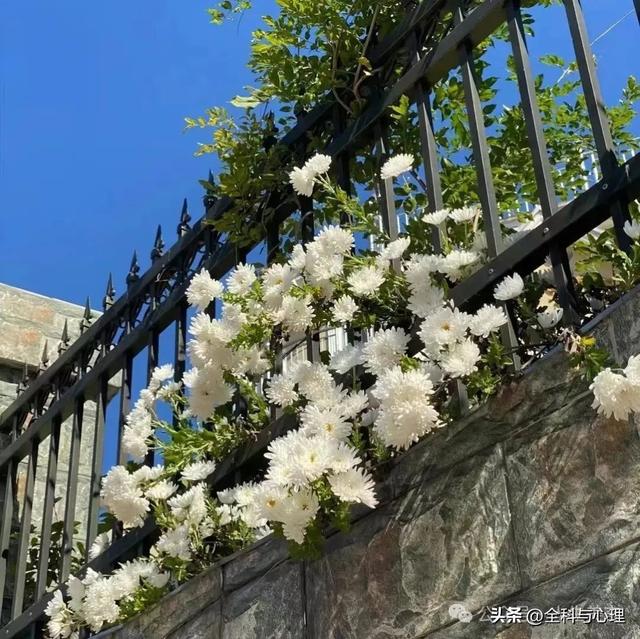 夸別人優(yōu)秀的短句，贊美別人的話(huà)經(jīng)典句子