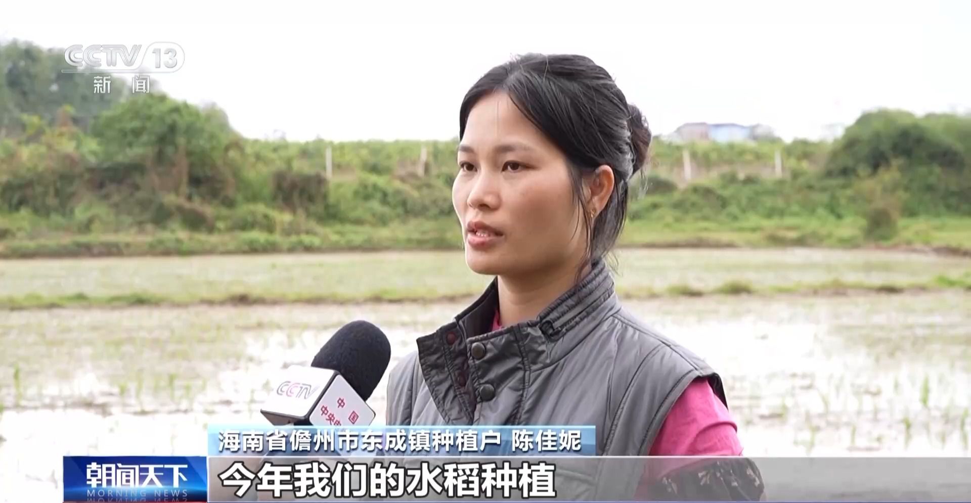 全國春耕開局：黑土地吃上有機(jī)餐 黃河水喂飽冬小麥