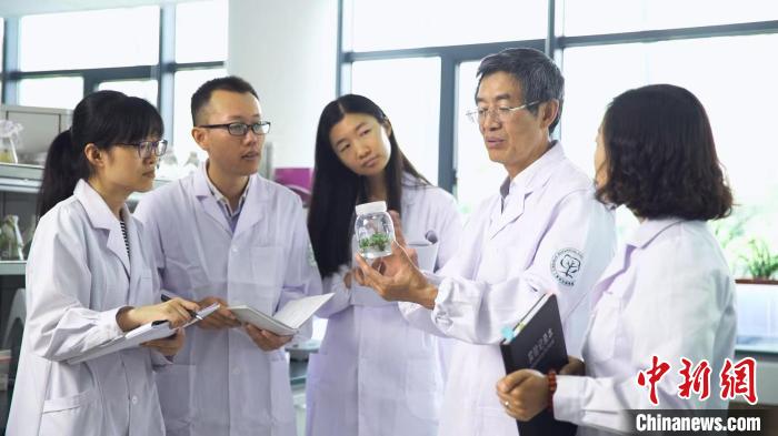 輔酶Q10有了新的食物來源 中國專家成功培育輔酶Q10水稻新品種