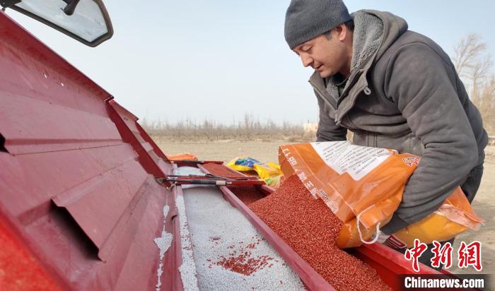 新疆巴州29萬余畝春小麥陸續(xù)開播