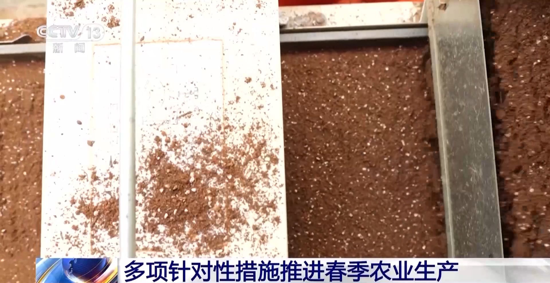 全國春耕開局：黑土地吃上有機(jī)餐 黃河水喂飽冬小麥