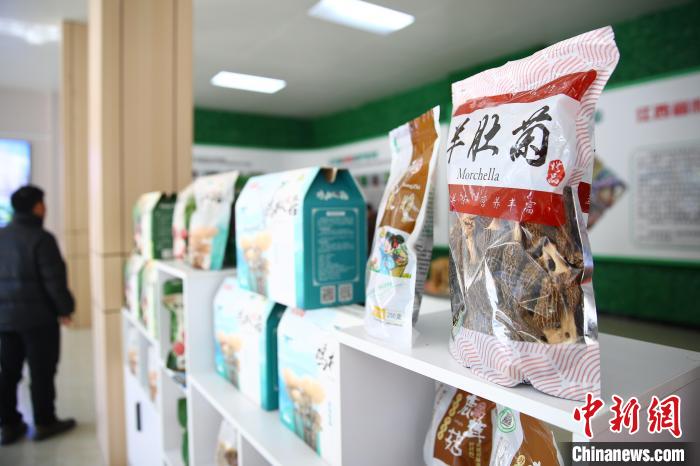 中部山區(qū)小城緣何成為“中國(guó)物流第一縣”？