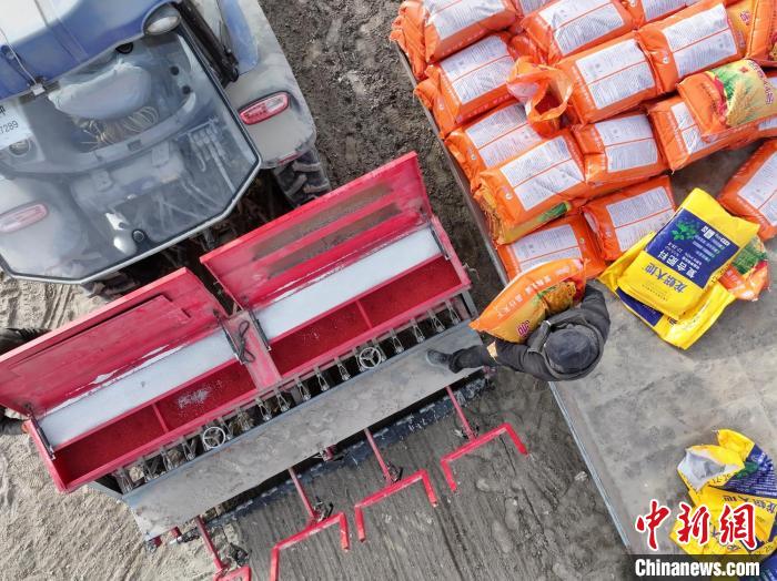 新疆巴州29萬余畝春小麥陸續(xù)開播