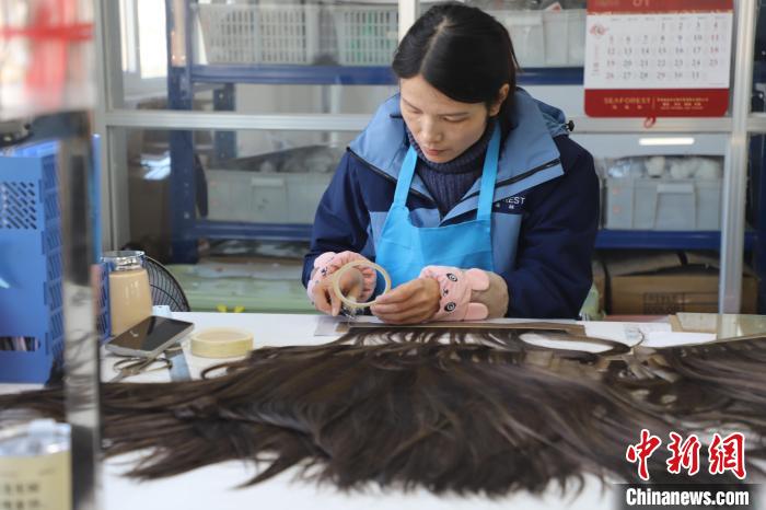 山東多向發(fā)力推動“魯字號”產(chǎn)業(yè)走出國門