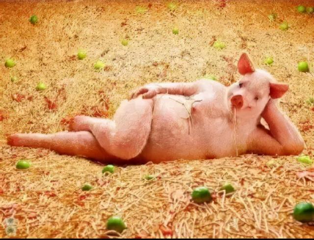 二臺女主播秀腿玩游戲成流量密碼，官方出手最為致命