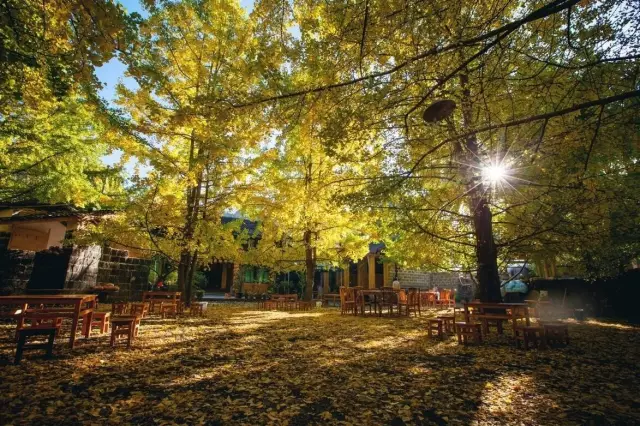 十月，騰沖之秋：去這幾個(gè)地方 你就能感受到驚艷之美