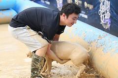 比思聰抓豬還會(huì)玩，土豪狂撒玫瑰美女主播拼命搶！