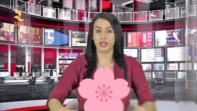 尺度驚人！阿爾巴尼亞新聞界女主播真空穿西裝，胸前內(nèi)容引發(fā)熱議
