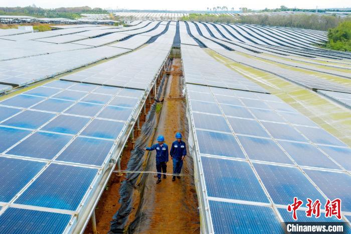 碳路中國丨逐夢“清潔能源島”：海南向世界展示中國綠色低碳發(fā)展