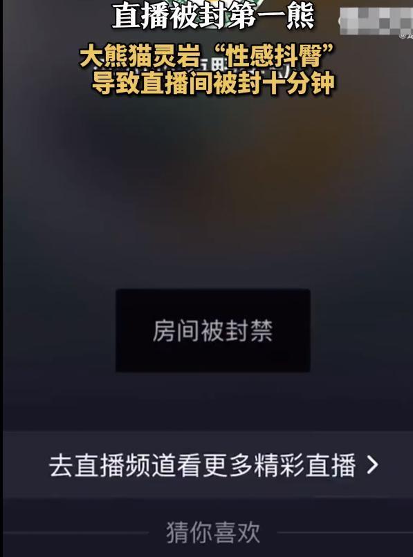 直播被封第一熊？大熊貓性感抖臀致直播間被封，網(wǎng)友熱議不斷