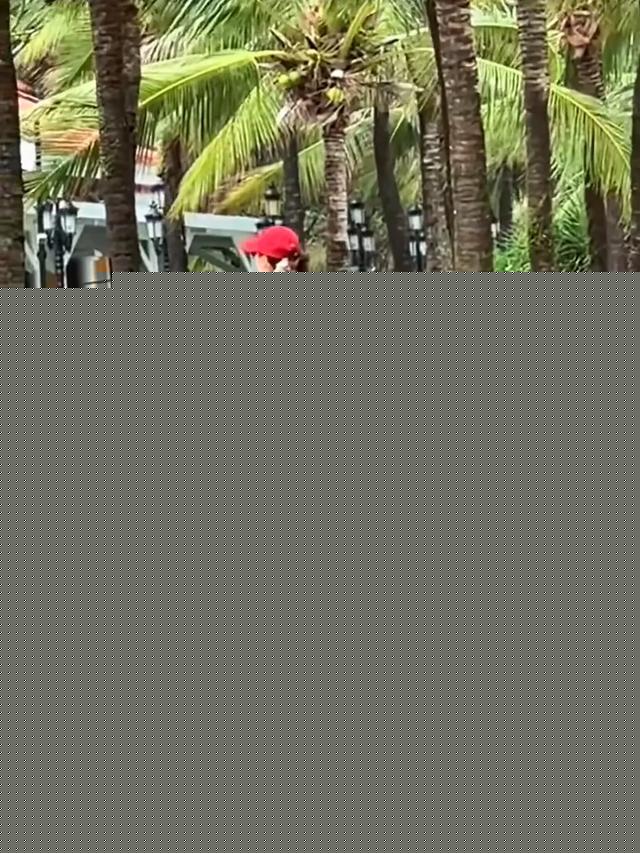 蔡依林露臍包臀泳衣秀長(zhǎng)腿 1米5身高 比例似1米7 舞蹈生體態(tài) 挺拔優(yōu)雅