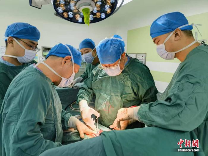 2.5毫米“精準(zhǔn)圍剿” 為肝癌患者帶來新希望