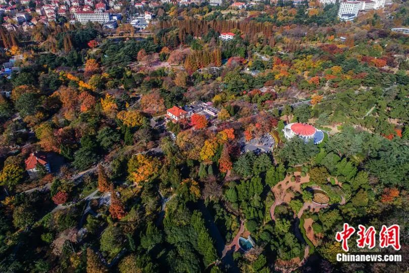 人這一輩子，一定要去一趟“電影中的青島”！