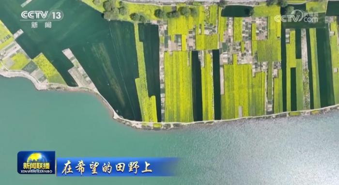 【在希望的田野上】全國春播進展順利 夏油豐收在望