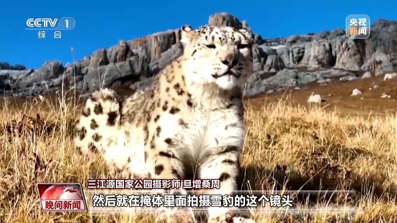 看見美麗中國丨三江源20年蛻變：千湖歸來 “中華水塔”煥新生