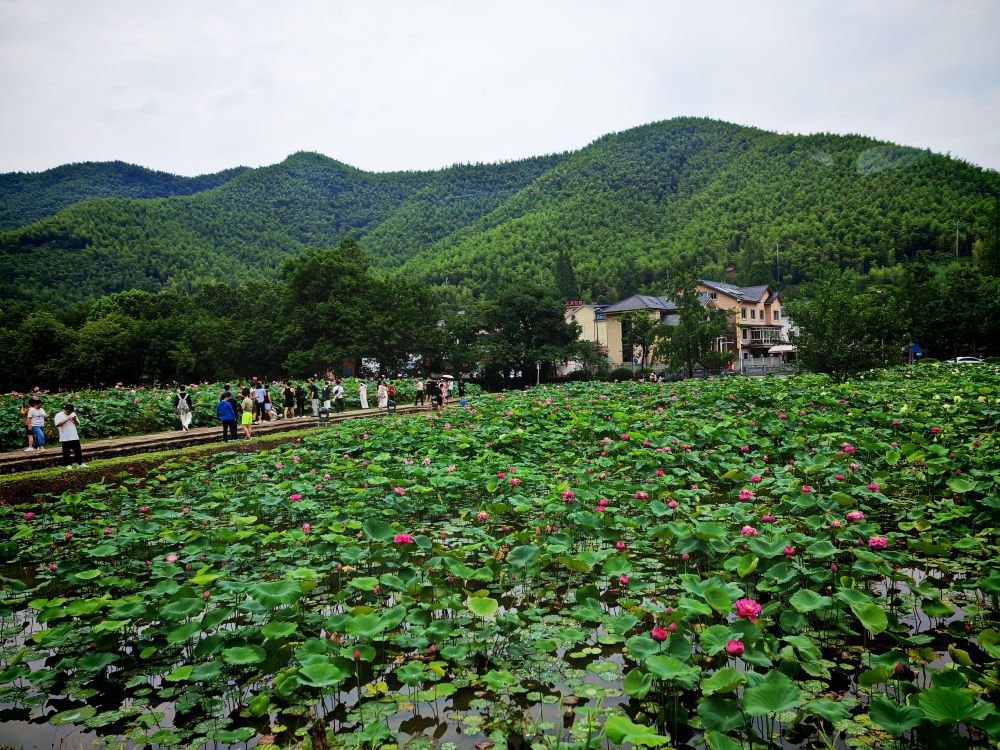 和總書記面對面 - 青山常在路更長