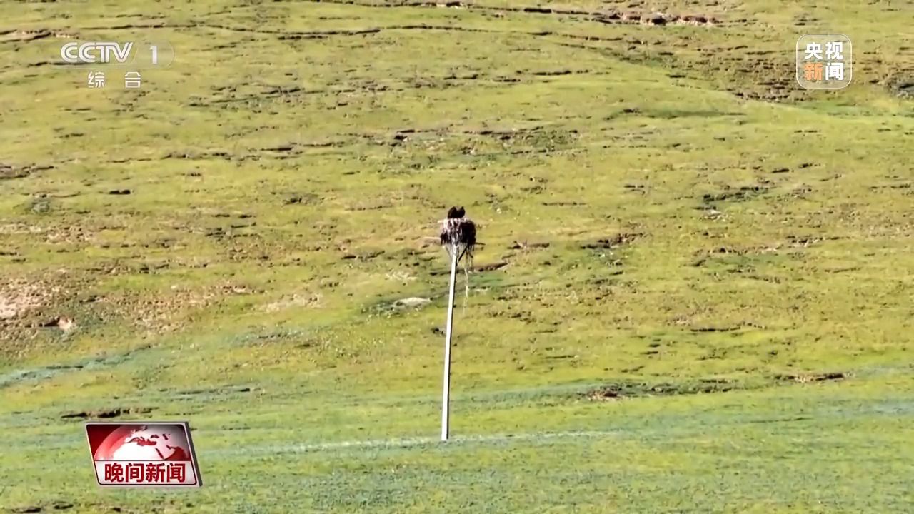 看見美麗中國丨三江源20年蛻變：千湖歸來 “中華水塔”煥新生