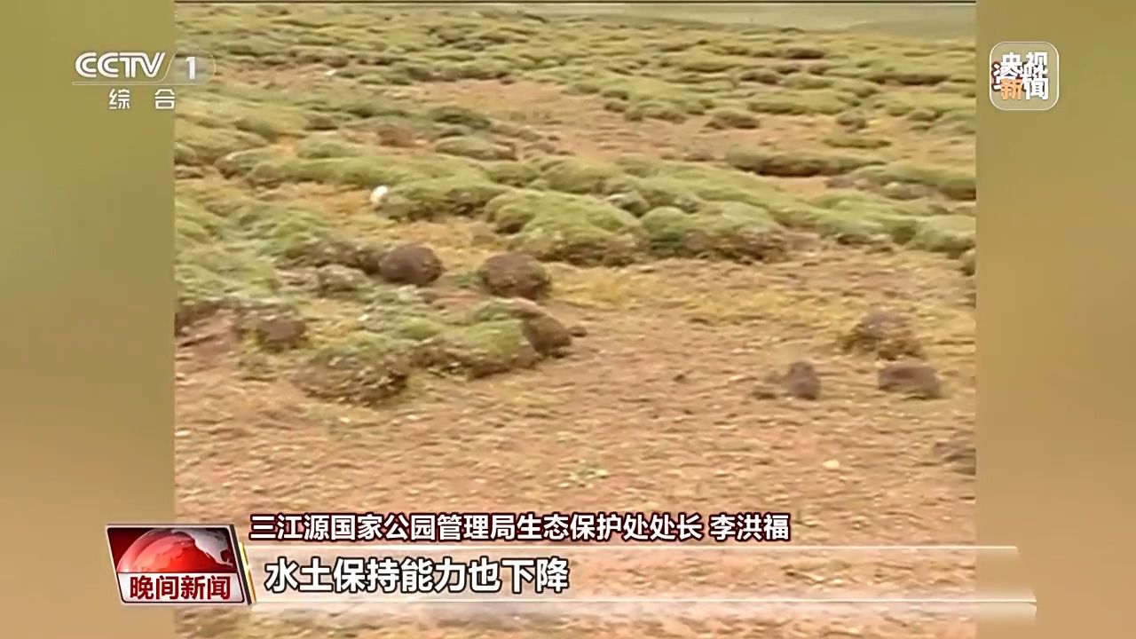 看見美麗中國丨三江源20年蛻變：千湖歸來 “中華水塔”煥新生