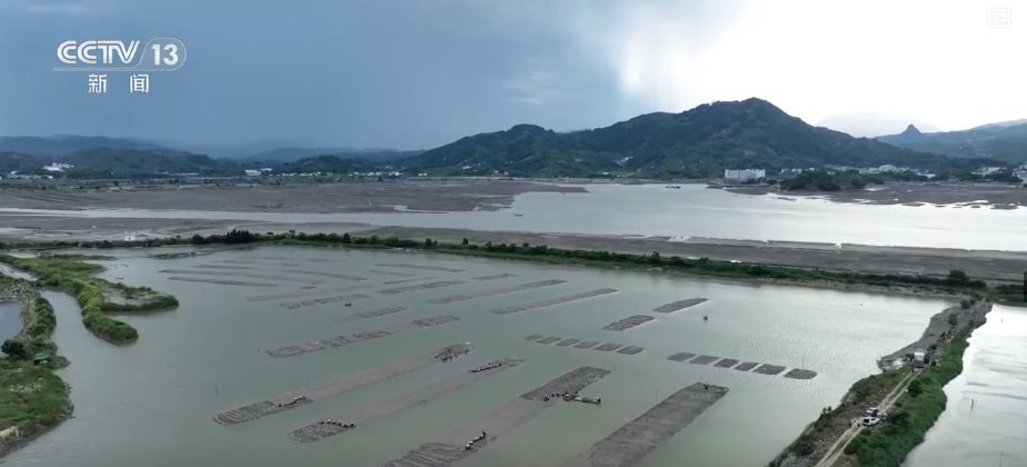 “糧飼雙收”“一塘多收”……新技術(shù)“大顯身手”繪就秋日別樣好“豐”景