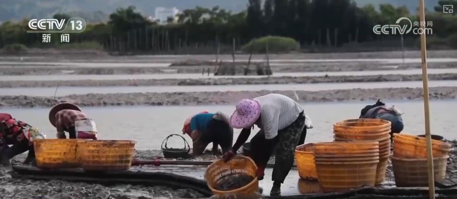 “糧飼雙收”“一塘多收”……新技術(shù)“大顯身手”繪就秋日別樣好“豐”景
