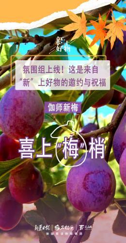 氛圍組上線！這是來(lái)自“新”上好物的邀約與祝福