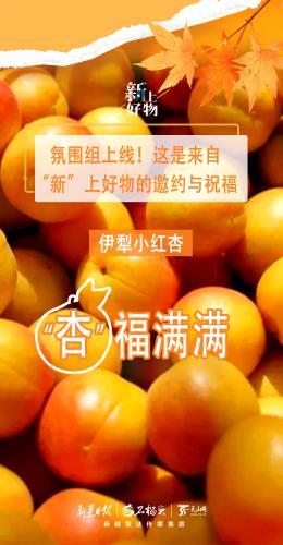 氛圍組上線！這是來(lái)自“新”上好物的邀約與祝福
