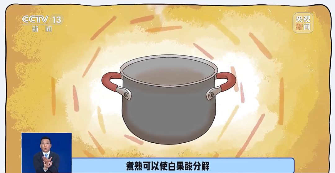 路邊這種小果子千萬不能撿食 處理不好會中毒