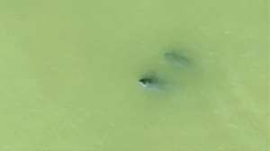 人這一輩子，一定要去一趟南昌看“微笑天使”！