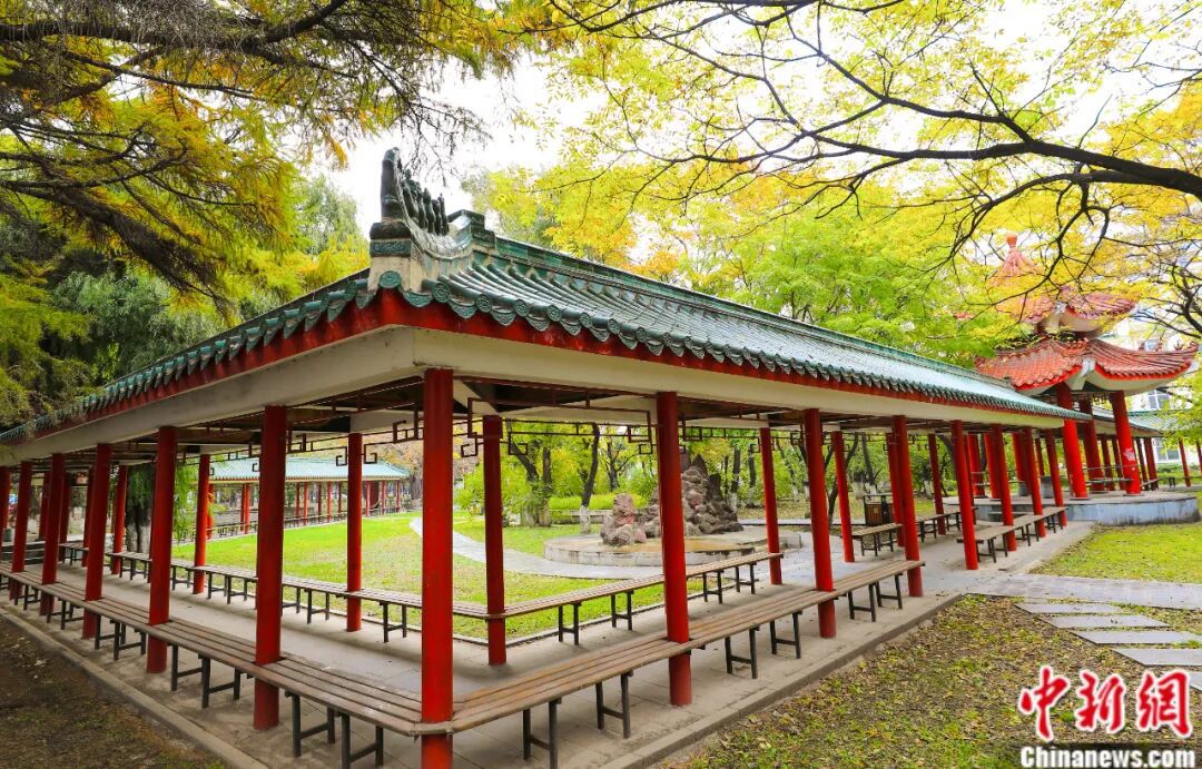 吉林大學(xué)，太寶藏了吧！